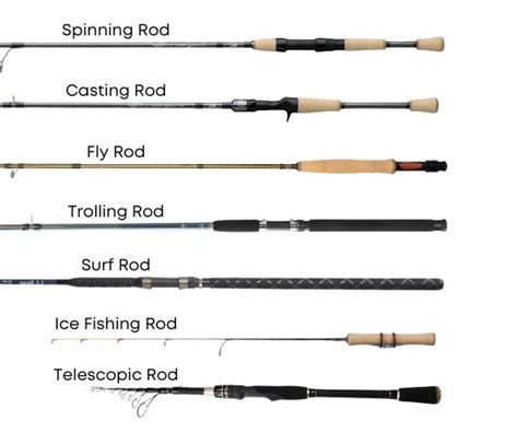Different Fishing Rod Types & Uses Explained (Guide).